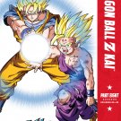 DragonBall Z Kai: Part Eight [2 Discs] [DVD]