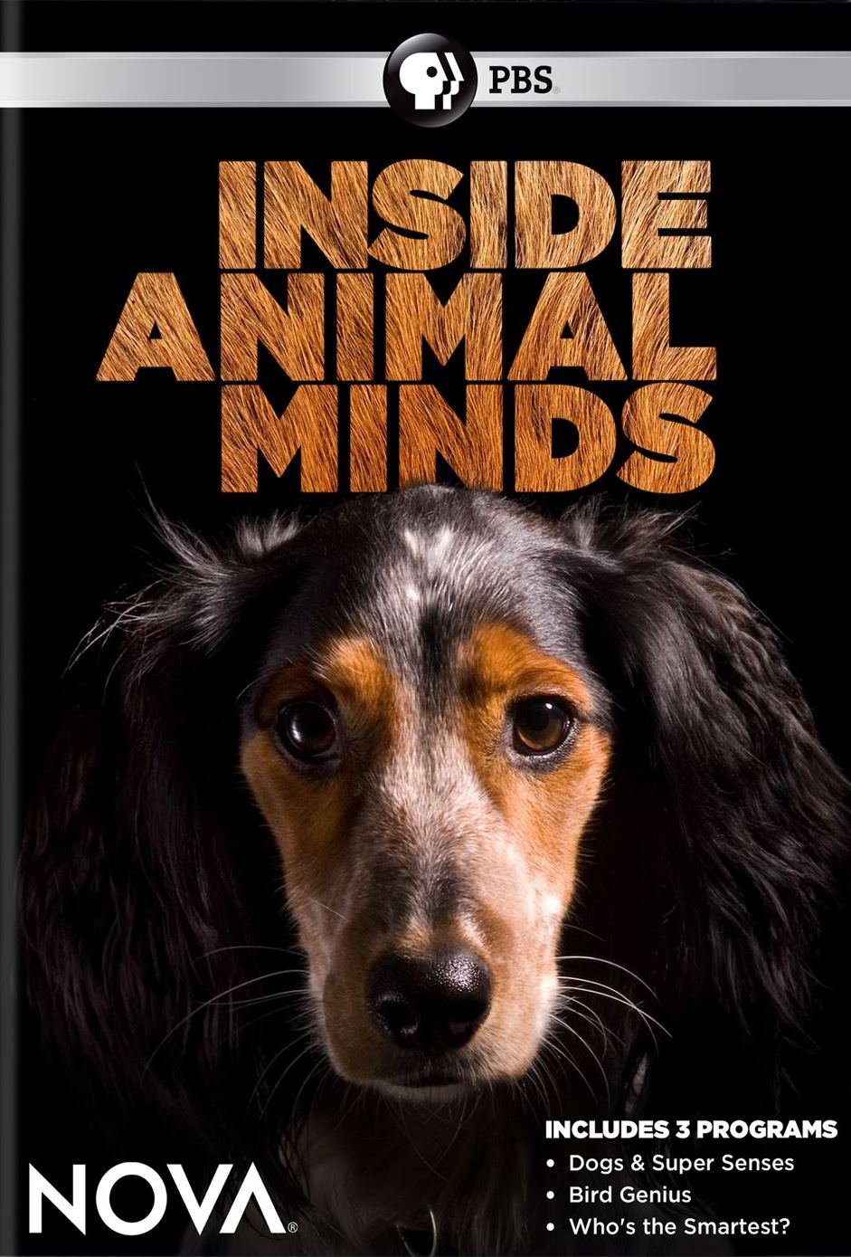 NOVA: Inside Animal Minds [DVD]