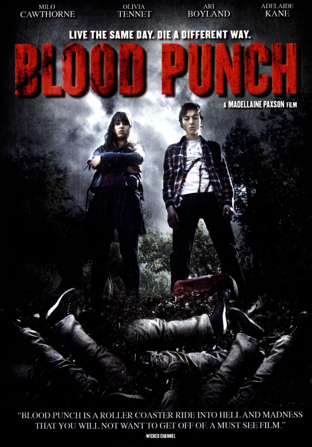 Blood Punch [DVD] [2013]