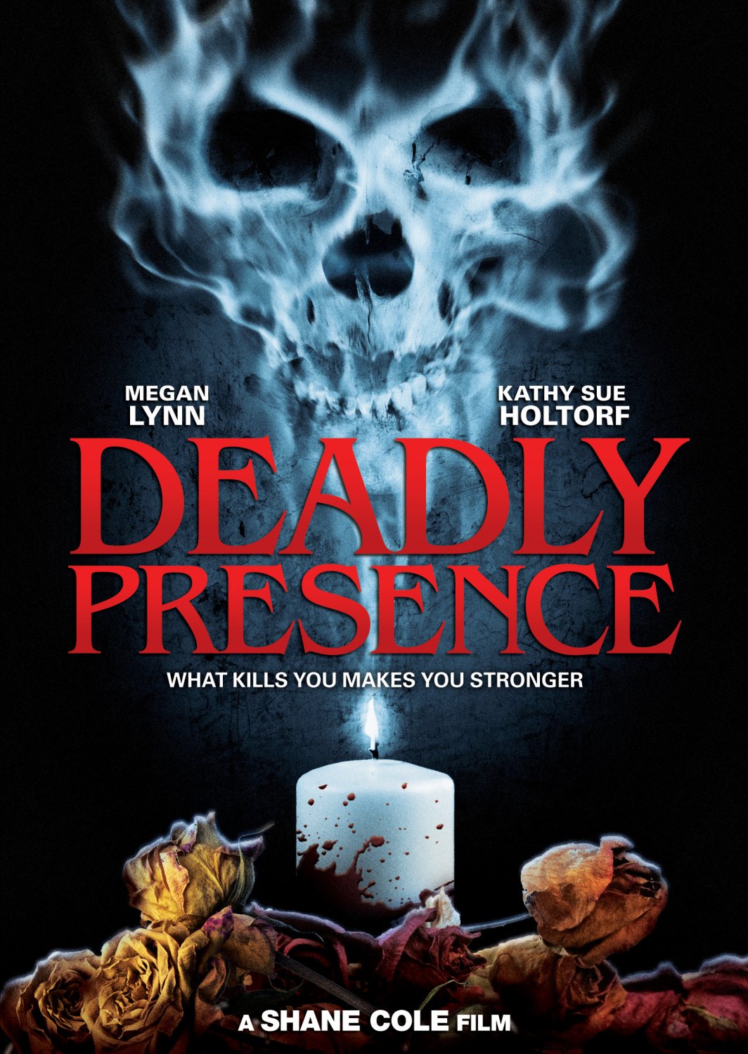 Deadly Presence [DVD]
