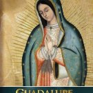 Guadelupe: The Miracle and the Message [DVD] [2015]
