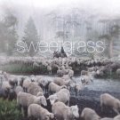 Sweetgrass [DVD] [2009]