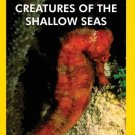 Creatures of the Shallow Seas [DVD]