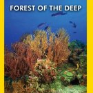 Forest of the Deep [DVD]