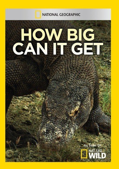 How Big Can It Get? [DVD]