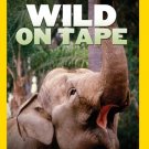 Wild on Tape [DVD]