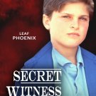 Secret Witness [DVD] [1988]
