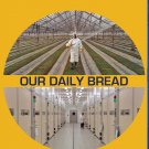 Our Daily Bread [Blu-ray] [2005]