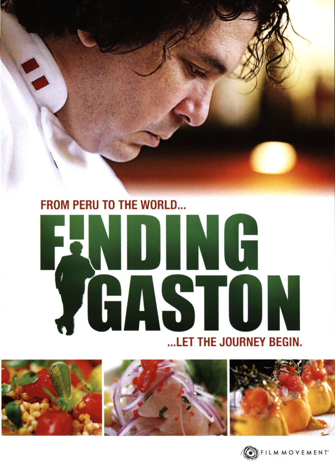 Finding Gaston [DVD] [2014]