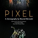 Pixel: A Choreography by Mourad Merzouki [DVD] [2017]