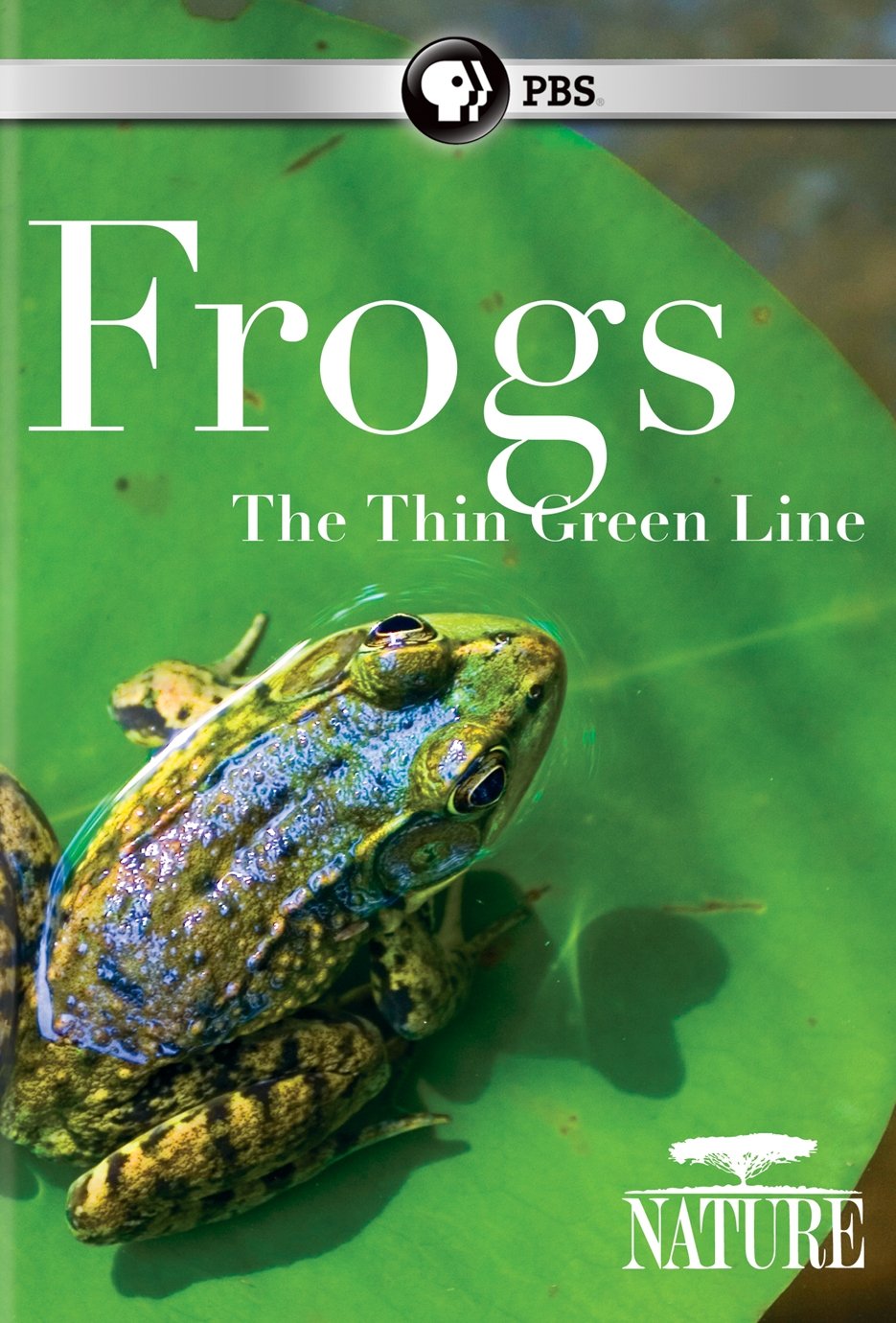 Nature: Frogs: The Thin Green Line [DVD]