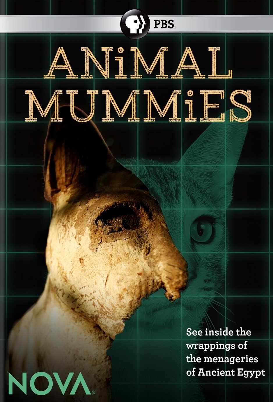 NOVA: Animal Mummies [DVD]