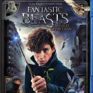 Fantastic Beasts and Where to Find Them [Blu-ray] [2016]