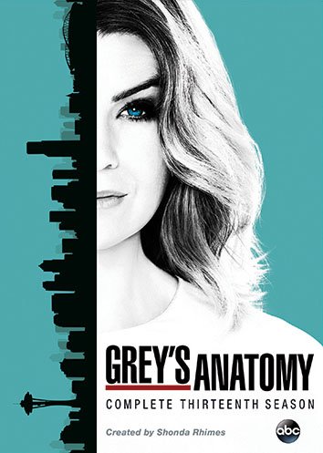 Grey's Anatomy: The Complete Thirteenth Season [DVD]