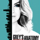 Grey's Anatomy: The Complete Thirteenth Season [DVD]