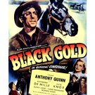 Black Gold [DVD] [1947]