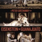 Eisenstein in Guanajuato [DVD] [2015]