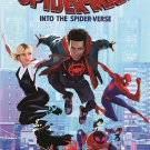 Spider-Man: Into the Spider-Verse [Includes Digital Copy] [DVD] [2018]