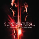 Supernatural: The Complete Thirteenth Season [Blu-ray]