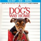 A Dog's Way Home [Includes Digital Copy] [Blu-ray/DVD] [2019]