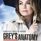 Grey's Anatomy: The Complete Twelfth Season [DVD]