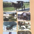 Reflections of Amish Life [DVD] [1998]