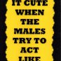 3174 Isn't It Cute When The Males Try To Act Like Adults Humorous Saying Signs Plaques