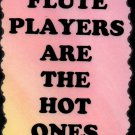 5087 Flute players are the hot ones Music Saying Sign Plaque Great Gifts