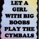 5109 Never let a girl with big boobs cymbals Music Saying Sign Plaque