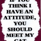 3153 Humorous Refrigerator Magnet Sign If You Think I Have An Attitude Meet Cat