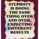 3177 Refrigerator Magnet Sign Funny Friendship Gift Stupidity Doing Same Thing