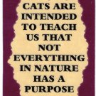 3050 Refrigerator Magnet Sign Funny Friendship Gift Cats Are Intended To Teach