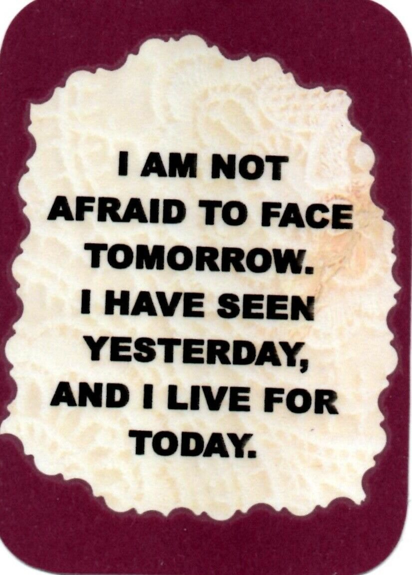 1097 Refrigerator Magnet Signs I am not afraid to face tomorrow Inspirational