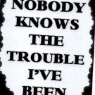 3089 Humorous Refrigerator Magnet Signs Nobody Knows The Trouble I've Been