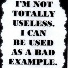 3287 Humorous Refrigerator Magnet Sign I'm Not Totally Useless Bad Example