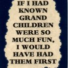 3039 Humorous Refrigerator Magnet Signs If I Had Known Grandchildren Were So