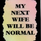 3090 Humorous Refrigerator Magnet Signs My Next Wife Will Be Normal