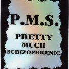 3078 Refrigerator Magnet Sign Funny Friendship Gift Pretty Much Schizophrenic