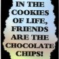 3 Friendship Refrigerator Magnets Signs Inspirational Comic Funny Love Friend #2
