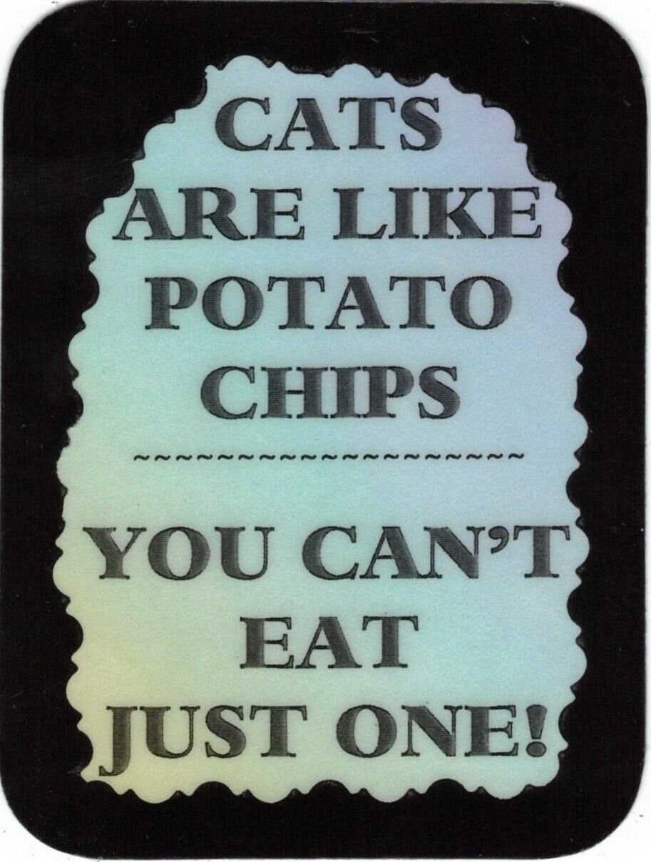 3208 Cats Are Like Potato Chips Refrigerator Magnet It's A Joke Funny Gifts