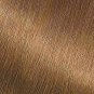 Garnier Nutrisse Hair Color Almond Creme 70 Dark Natural Blonde, 1 Kit, 3 Pack