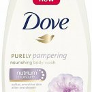 Dial Men's Odor Armor Body Wash, 16 Fluid Ounces (Bulk Pack of 2)