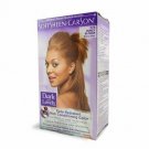 Dark & Lovely Color #378 Honey Blonde (6 Pack) Bulk