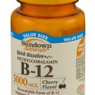 Sundown Naturals Dietary Supplement B-12 5000mcg - 90 CT