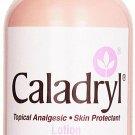 Caladryl Calamine Plus Itch Reliever Topical Analgesic Skin Lotion 6 oz, 2 Pack