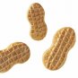 Ban Deod Stick Pwdr Invis 2.6 Oz, Bulk Pack of 12