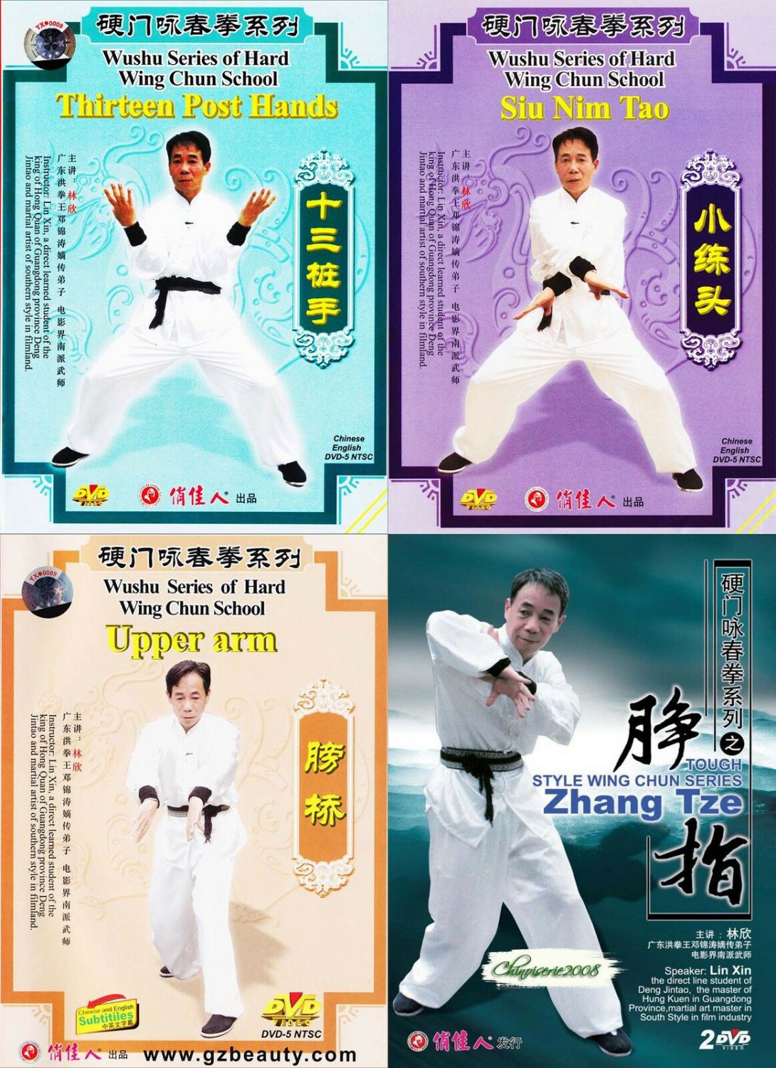 DW135-01-04 Hard Wing Chun ( Yong Chun Quan ) Kungfu complete Series - Lin Xin 5DVDs