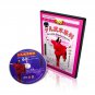Chinese Kungfu Juvenile Wushu Kungfu Weapons Series Complete - Zhang Lihui 8DVDs