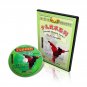 Chinese Kungfu Juvenile Wushu Kungfu Weapons Series Complete - Zhang Lihui 8DVDs