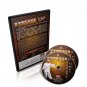 DWQL206 Yang Style Tai Chi Taiji Sword by Yang Zhenduo 2DVDs
